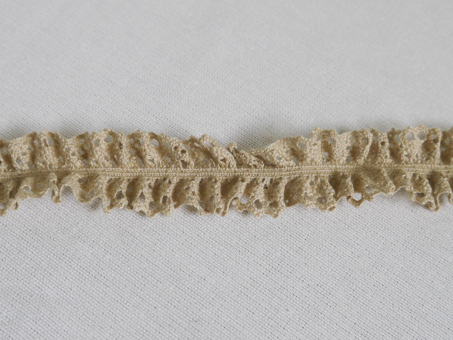 24mm elastic lace ribbon in organic cotton